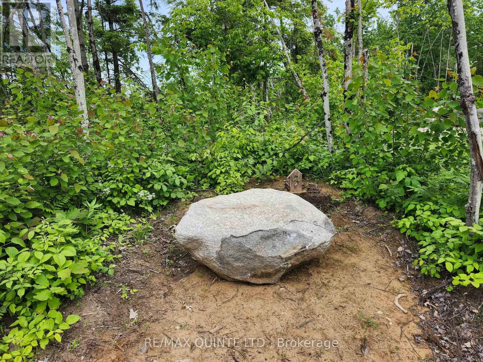 128 VARTY ROAD photo 3
