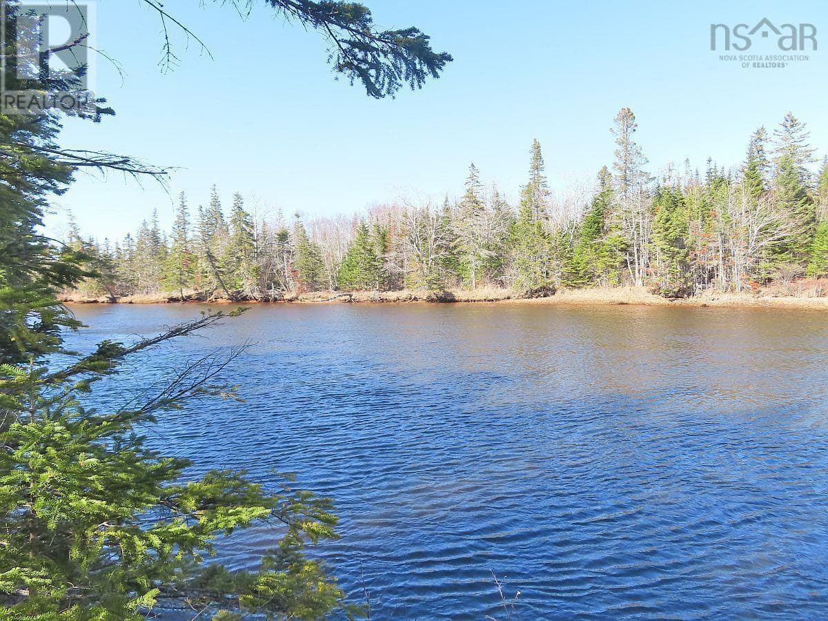 Lot5 Lower River Road photo 3
