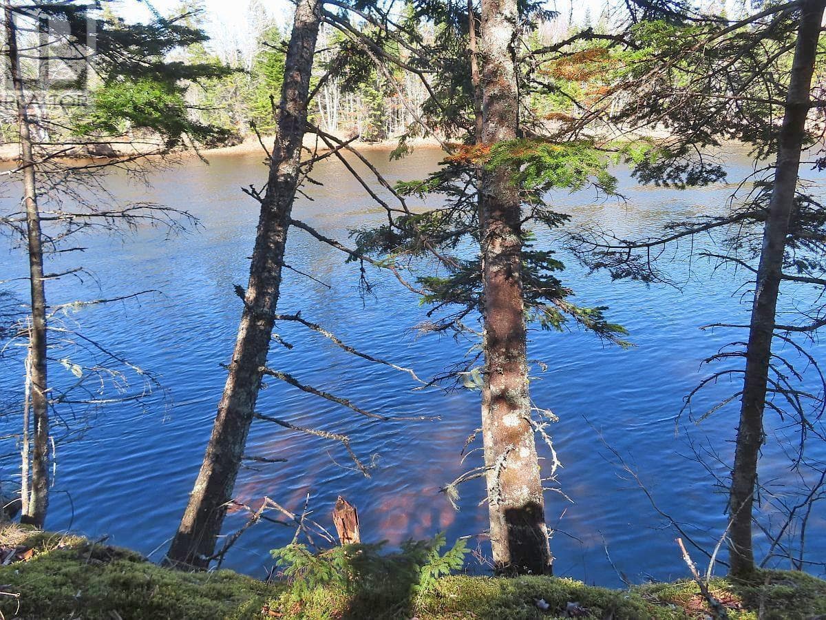 Lot5 Lower River Road photo 4