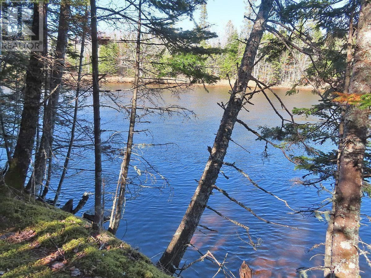 Lot5 Lower River Road photo 5