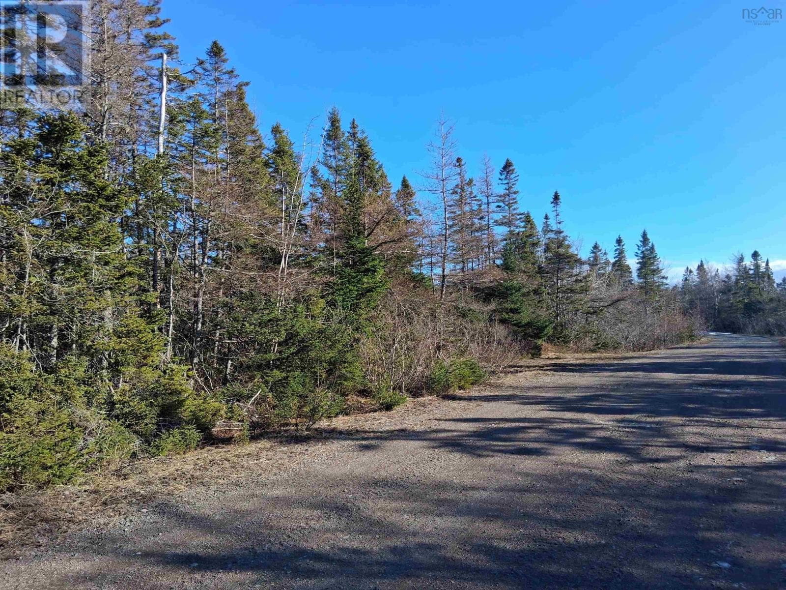 0 Goose Harbour Road photo 3
