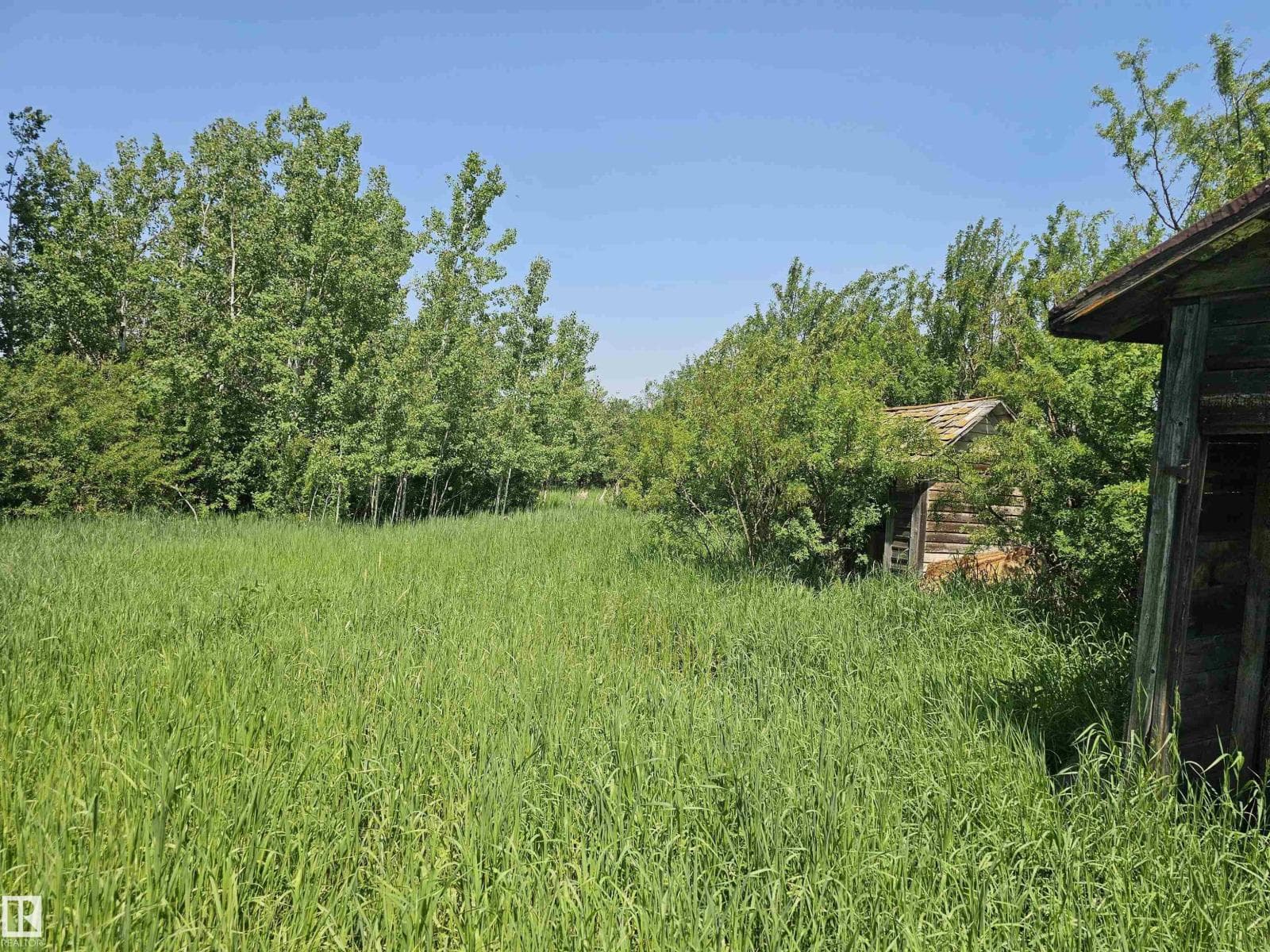 6003 49 ST photo 3