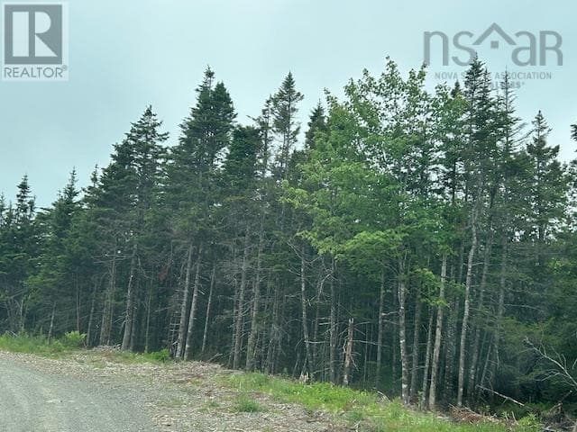 Salmon River Road photo 3