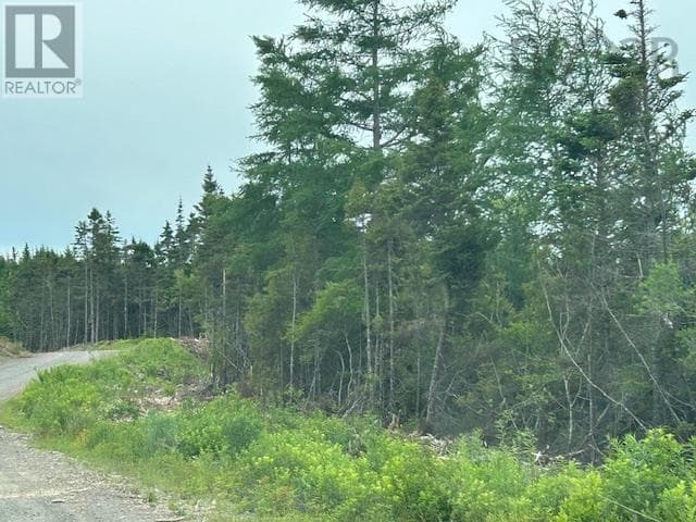 vacant land at Salmon River Road — $45,000