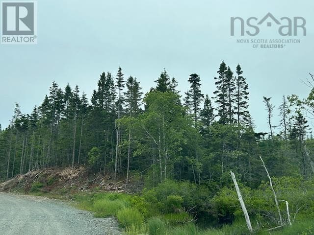 Salmon River Road photo 4
