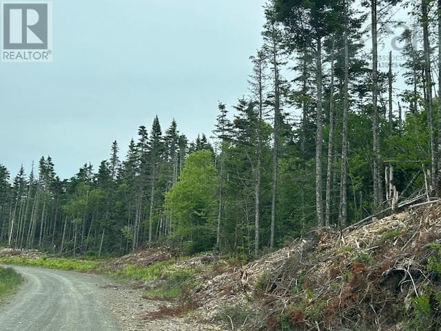 Salmon River Road photo 5