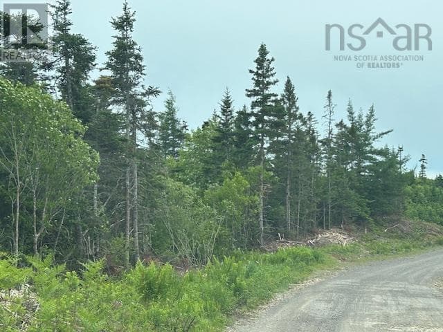 Salmon River Road photo 2