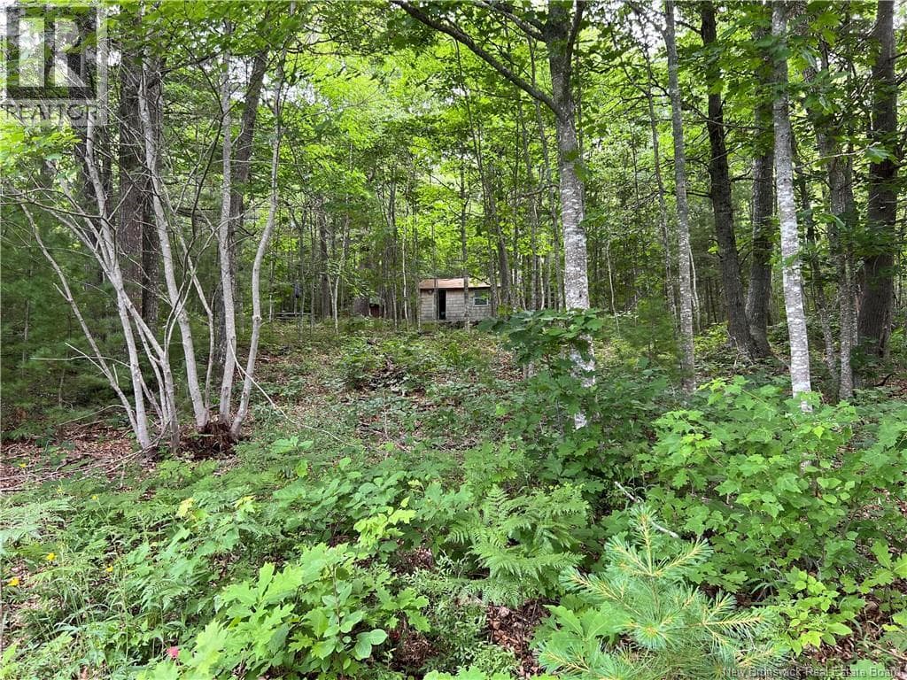 Vacant lot Lakeview Road photo 3