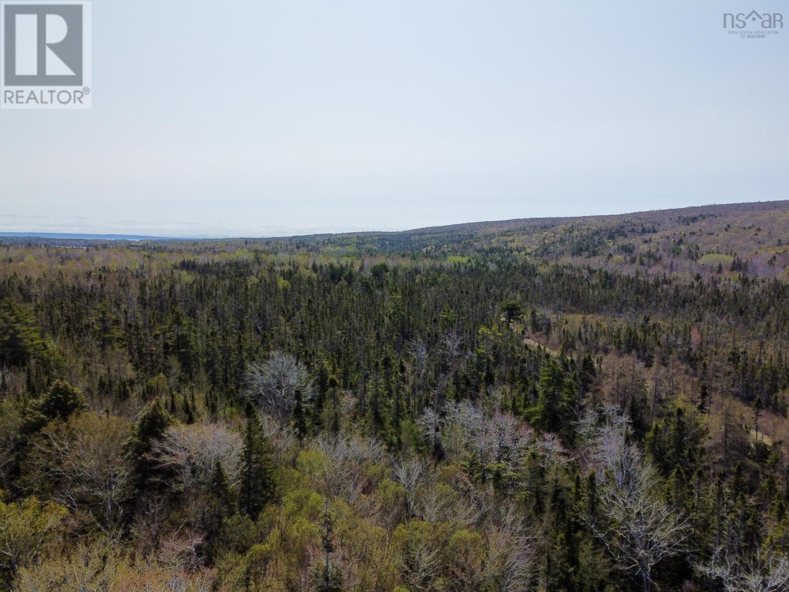 Lot 63 Marble Mountain Road photo 3