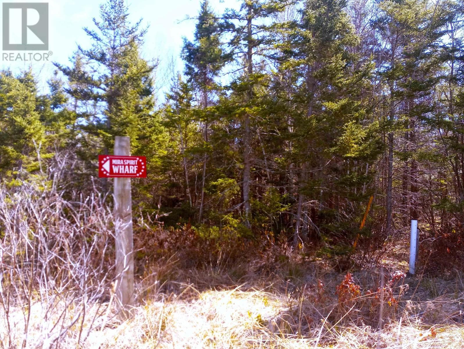 12 Johnny Cash Lane photo 4