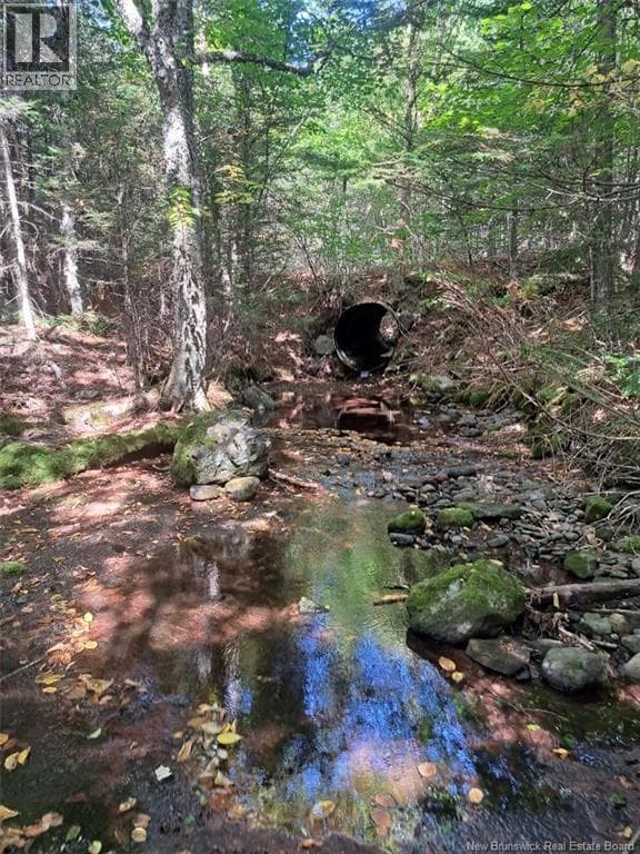 0 Mosher Hill Road photo 2