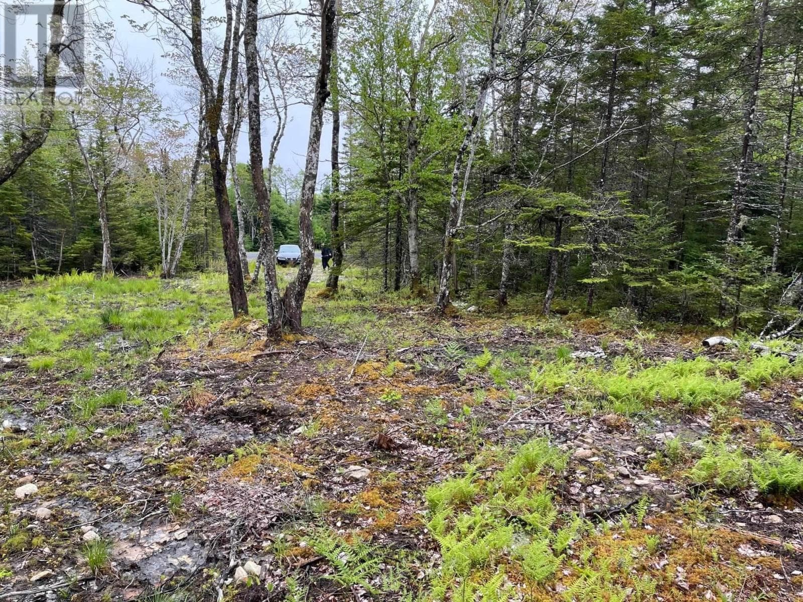 Lot 1A-81 Maple Drive photo 2