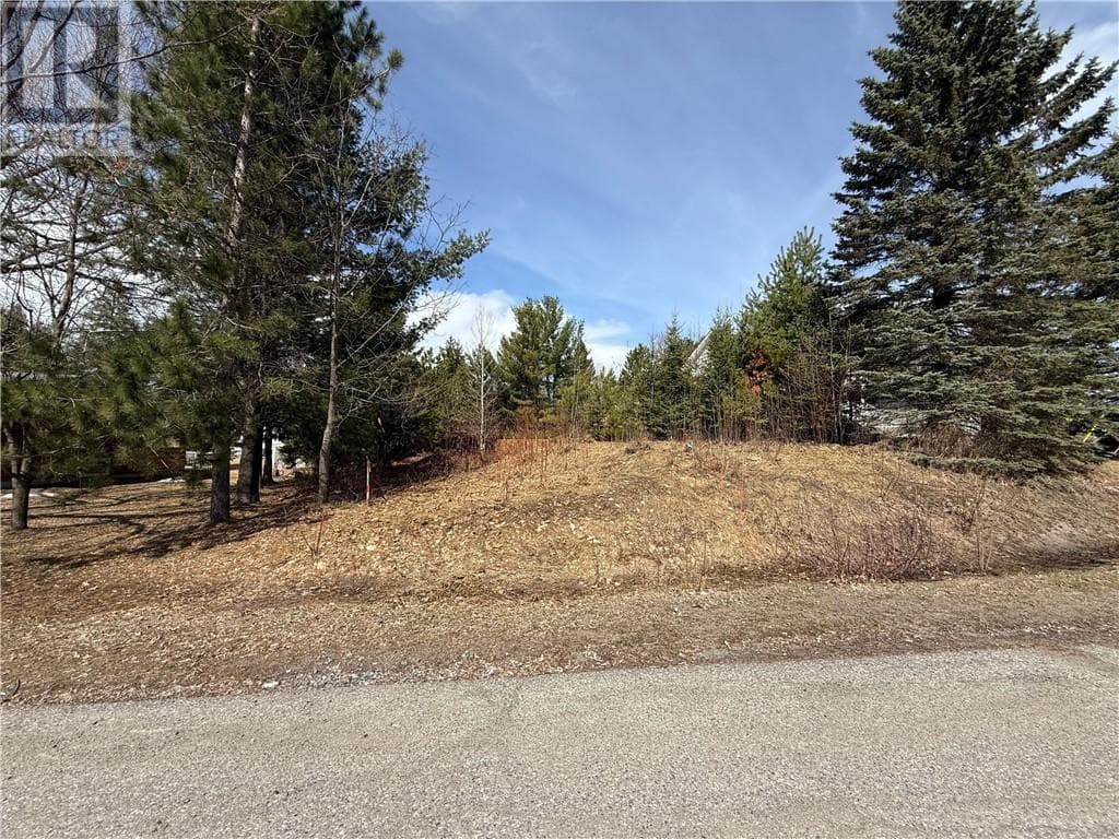 0 Simon Lake Drive photo 3