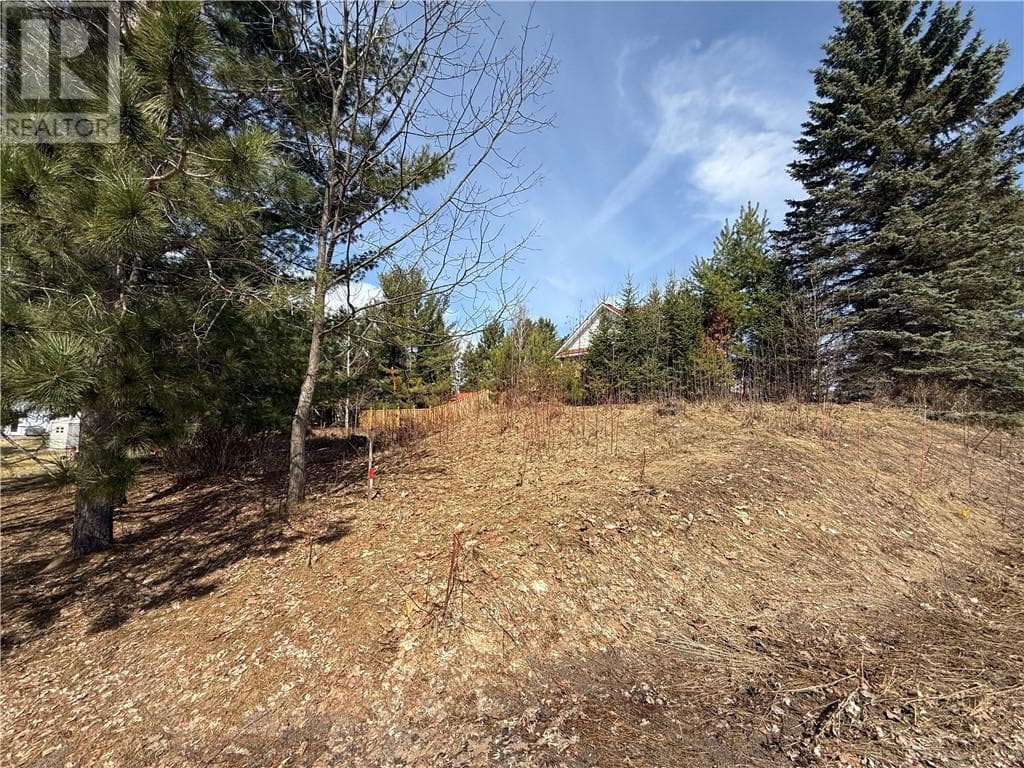 0 Simon Lake Drive photo 5