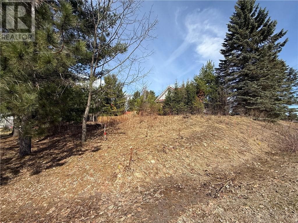 0 Simon Lake Drive photo 4
