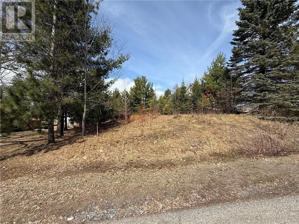 0 Simon Lake Drive photo 2