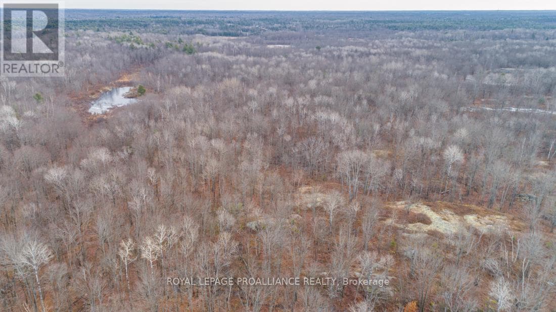 1446 FLINTON ROAD photo 2