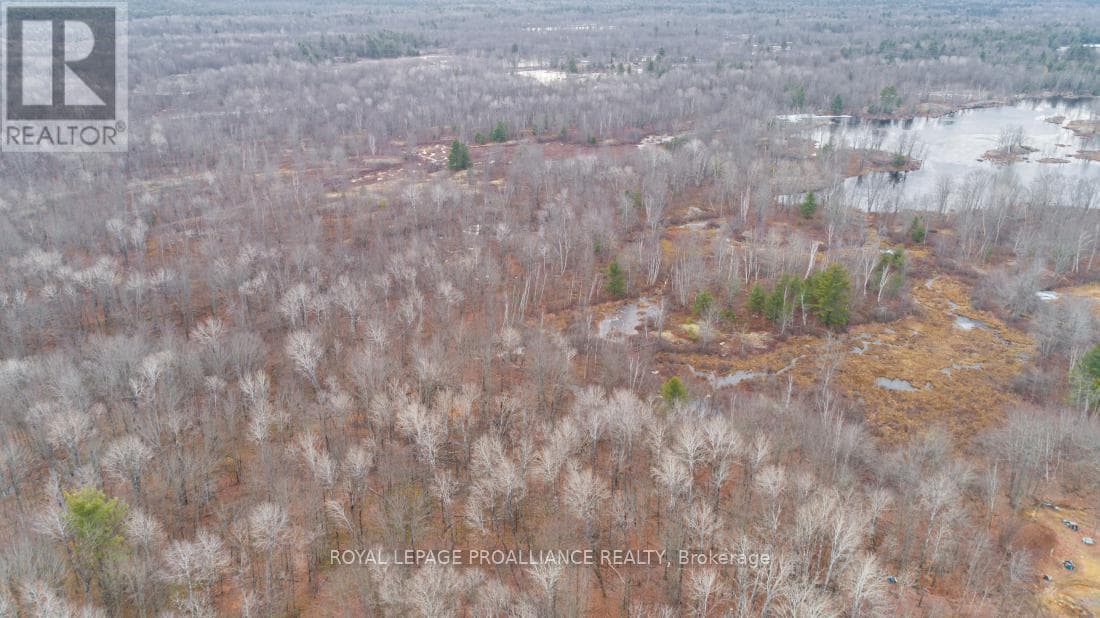 1446 FLINTON ROAD photo 3
