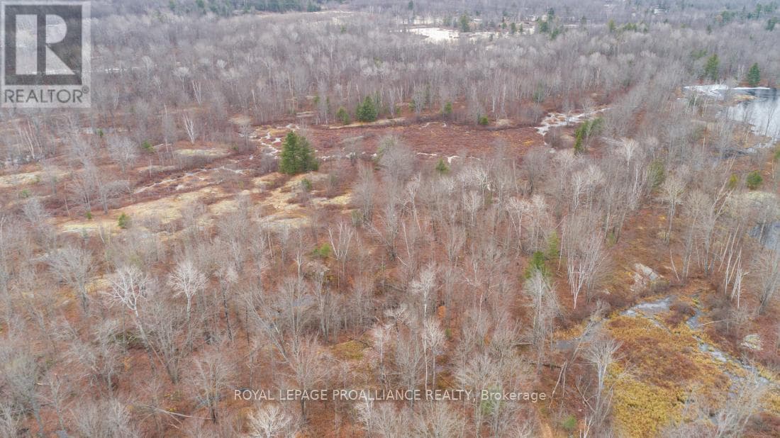 1446 FLINTON ROAD photo 4