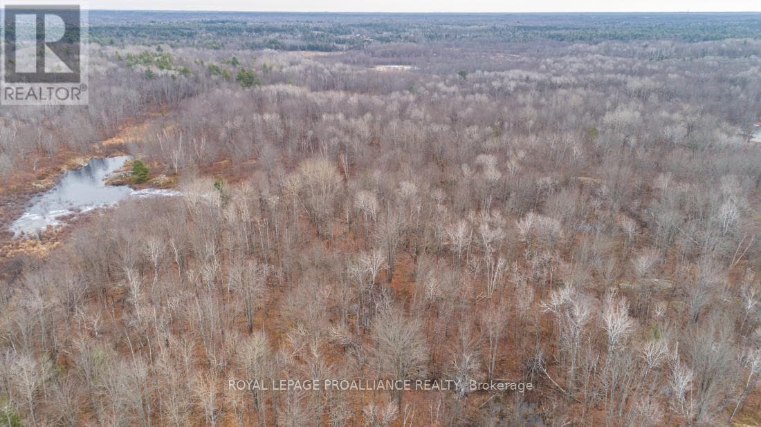 1446 FLINTON ROAD photo 5