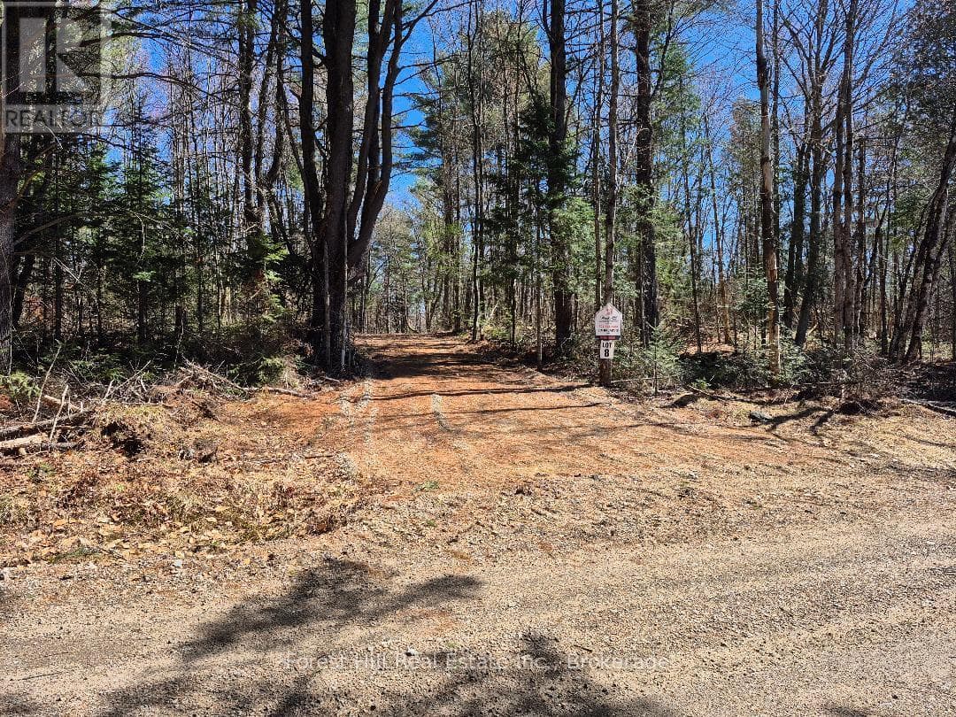 247 WOODLAND DRIVE photo 2