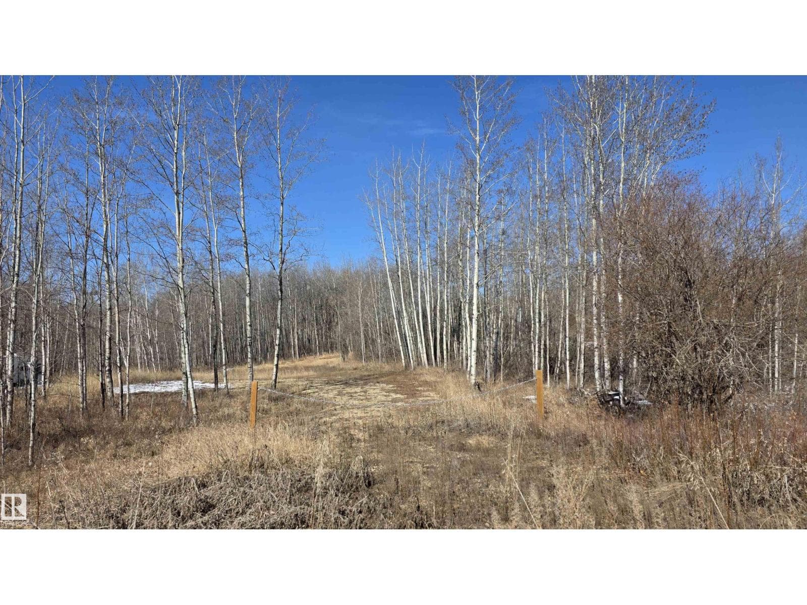 #13 50529 RGE ROAD 21 photo 5