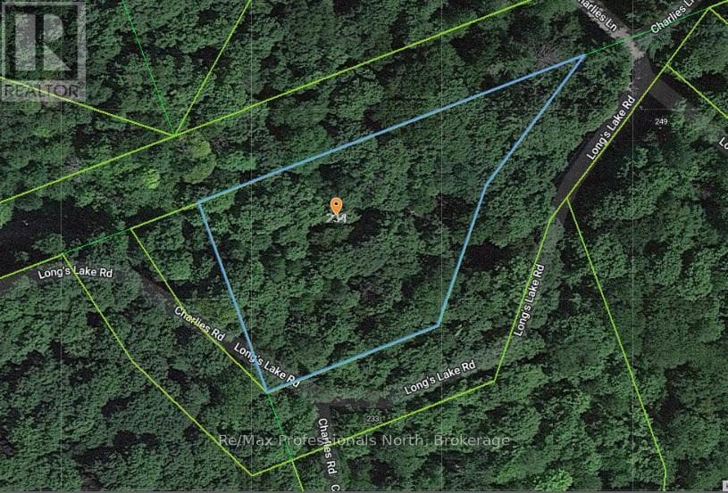 234 LONGS LAKE ROAD photo 2