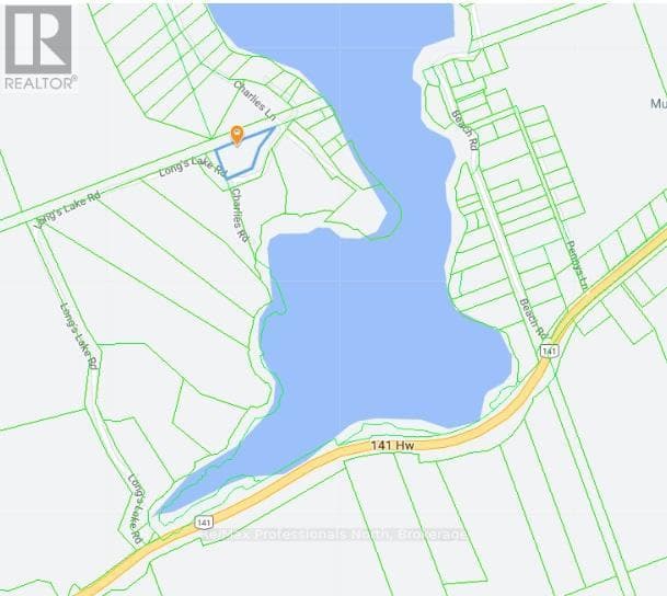 234 LONGS LAKE ROAD photo 5
