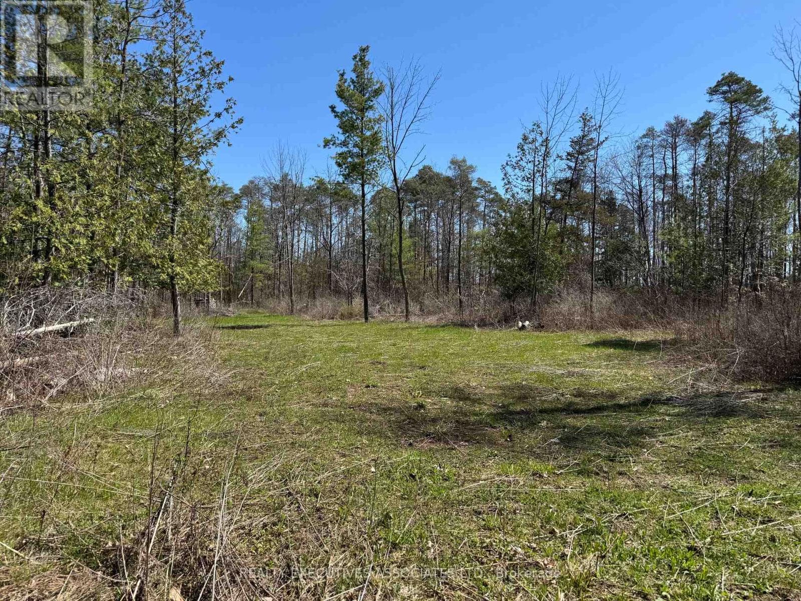 6192 COUNTY RD 50 photo 2