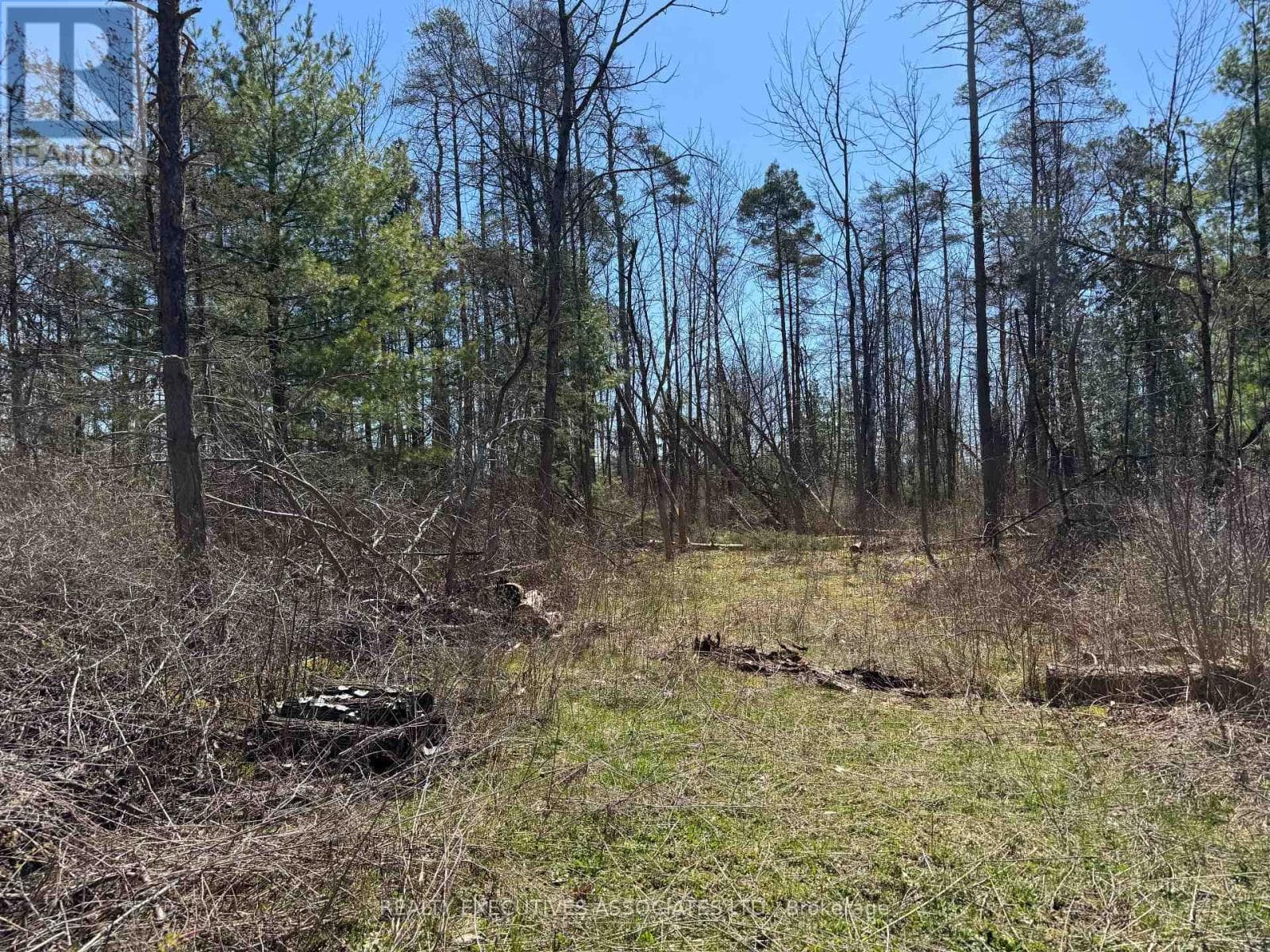 6192 COUNTY RD 50 photo 3