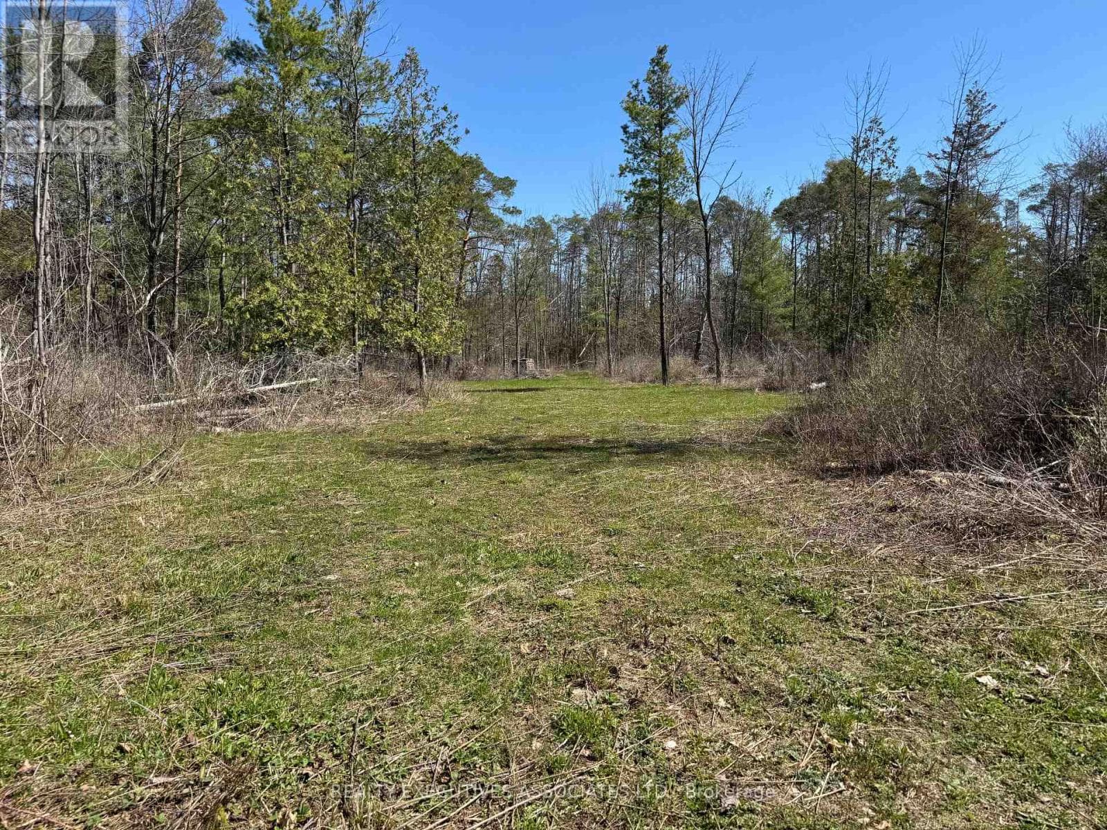 6192 COUNTY RD 50 photo 4