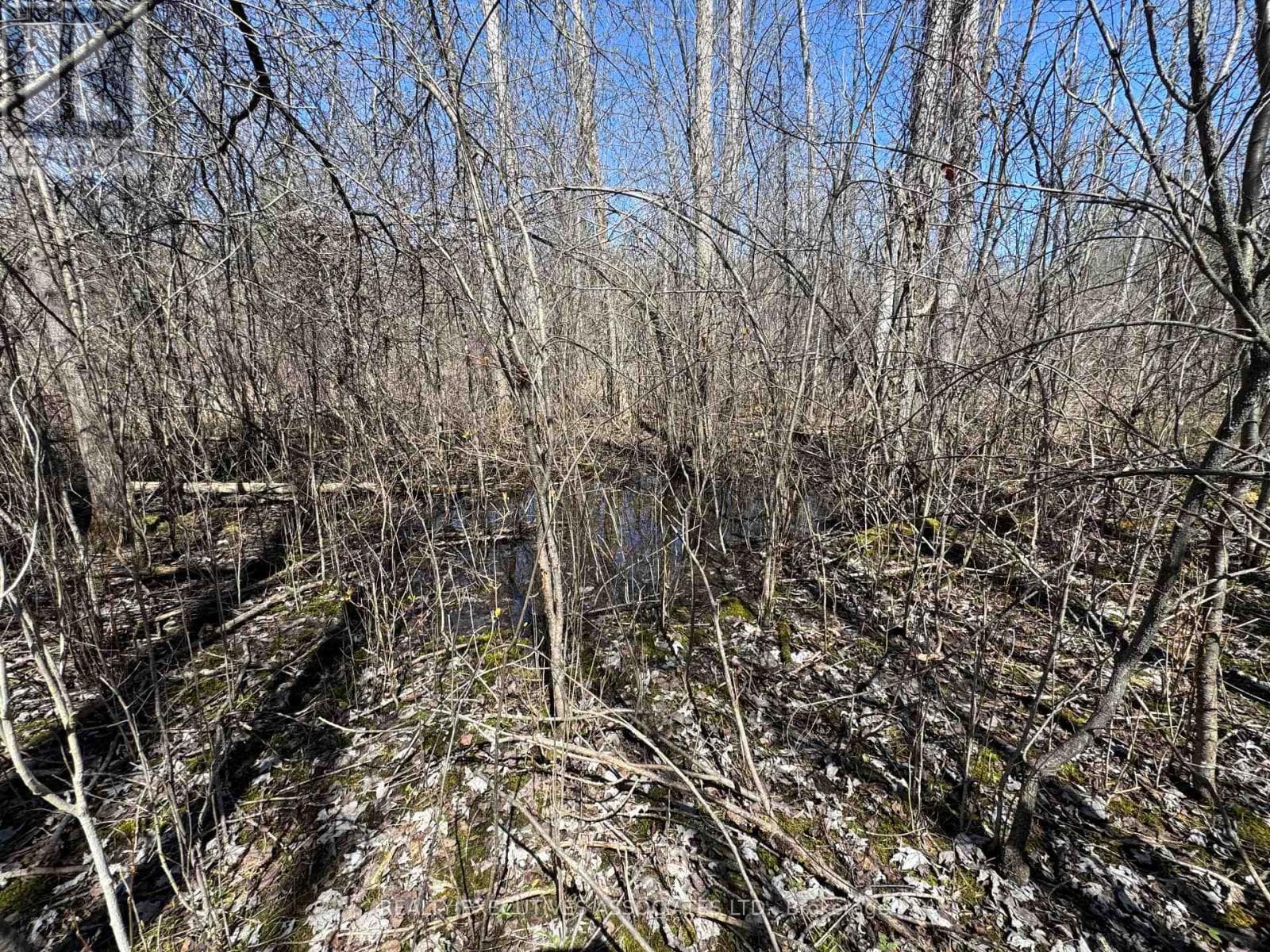 6192 COUNTY RD 50 photo 5