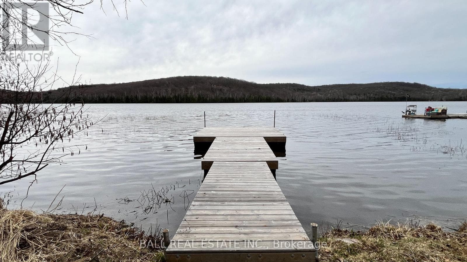 294 ALBION LAKE DRIVE photo 5