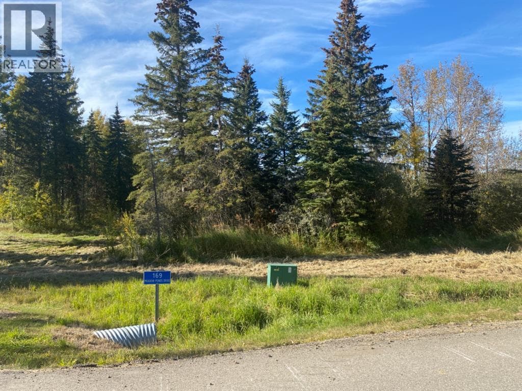 169 Meadow Ponds Drive