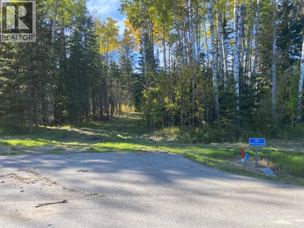 161 Meadow Ponds Drive