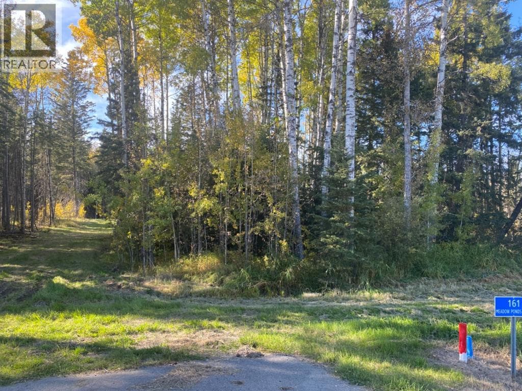 161 Meadow Ponds Drive — photo 2