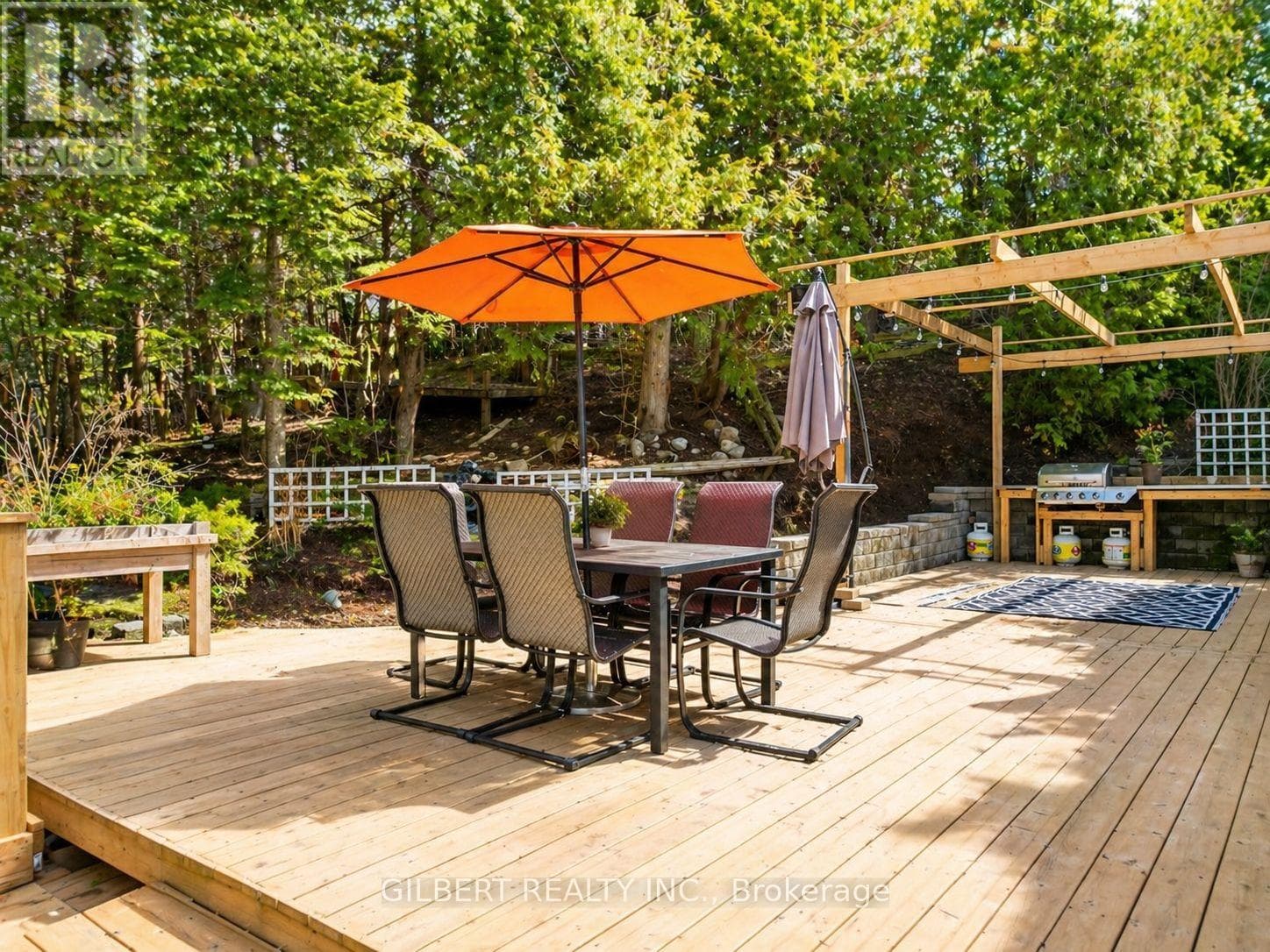 313 WINNIFRED DRIVE photo 4