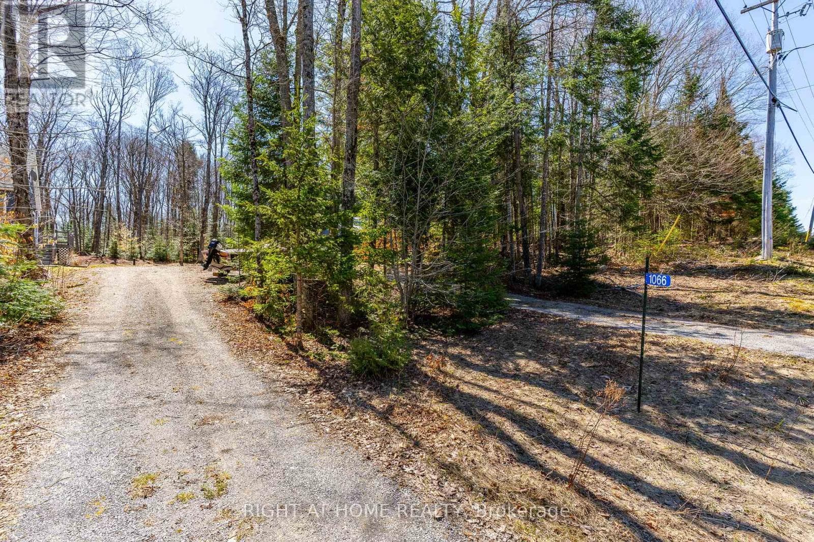 1066 LOOP ROAD photo 4