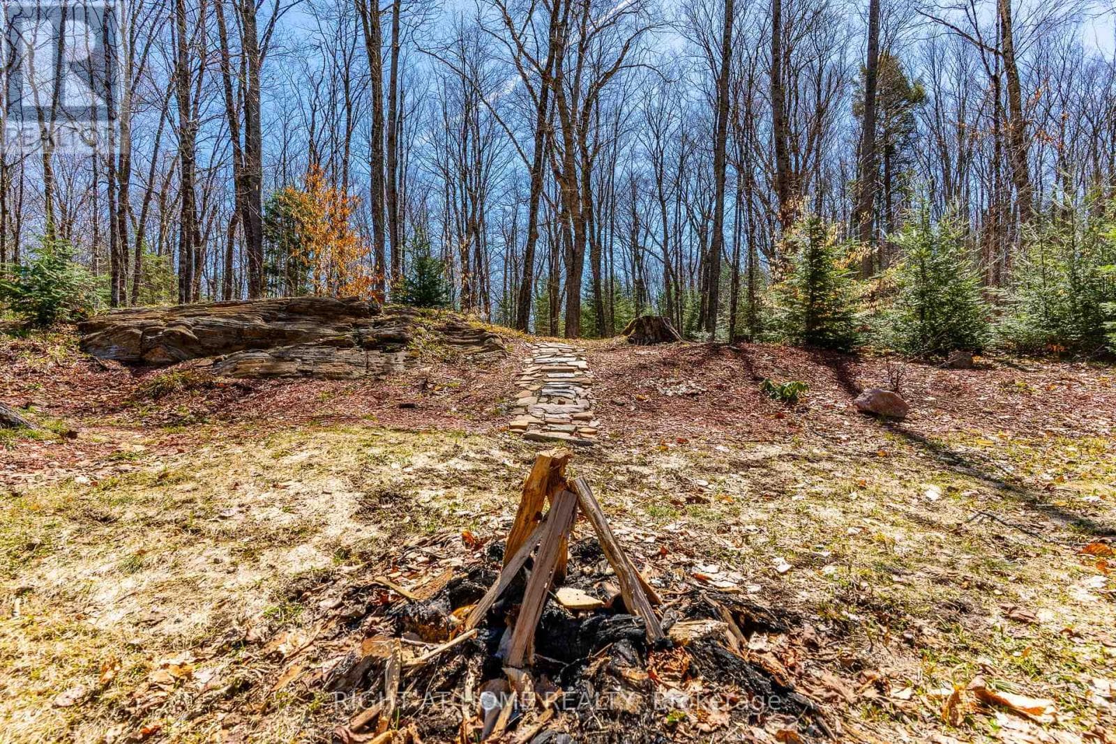 1066 LOOP ROAD photo 5