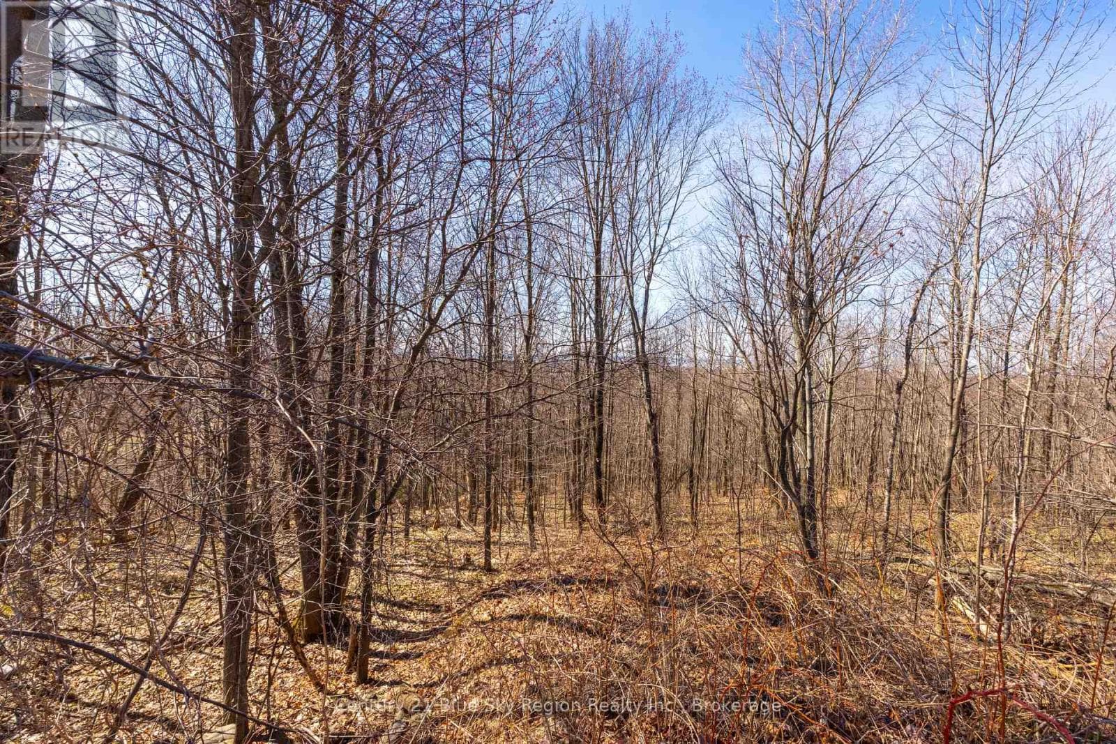 74 KENRETA DRIVE photo 5