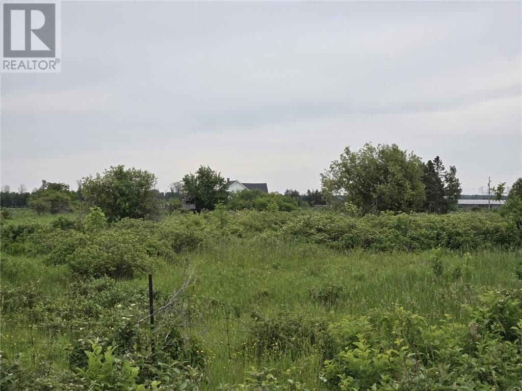 916 Campbell Rd photo 2