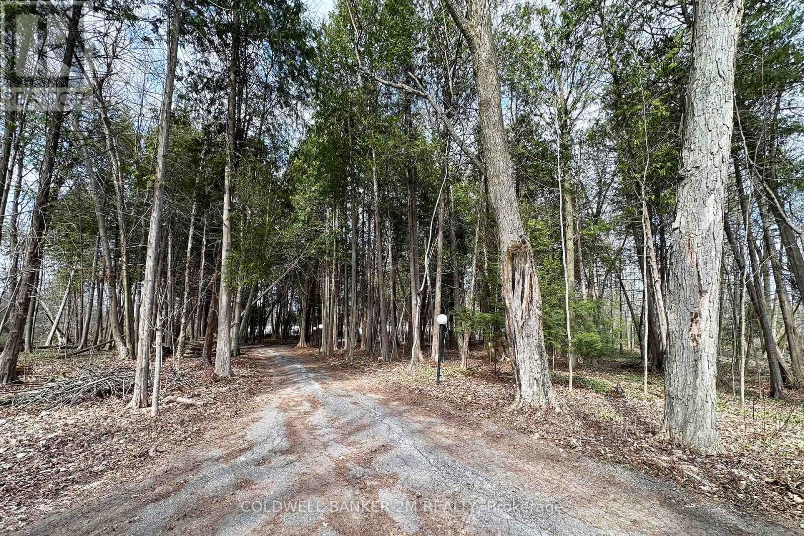 14900 REGIONAL RD 57 photo 2