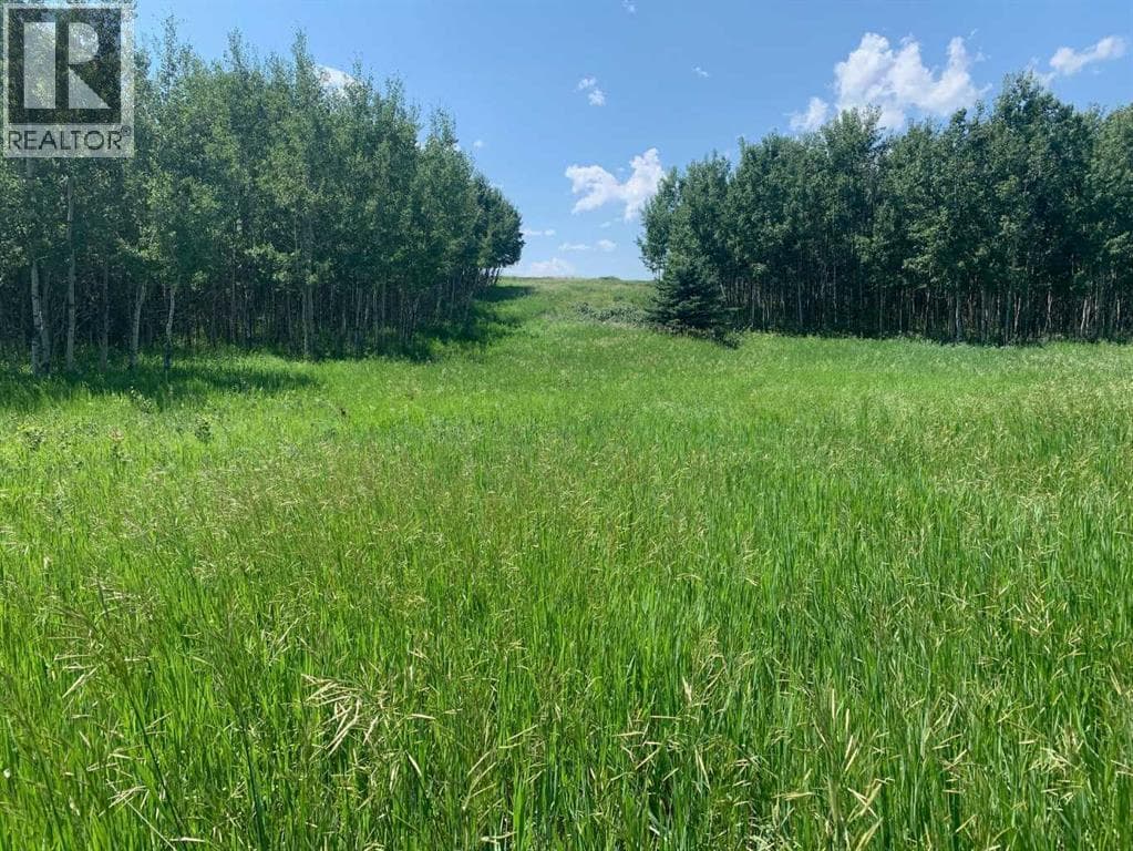 75.50 Acres North Springbank  5;3;25;28;SE photo 5