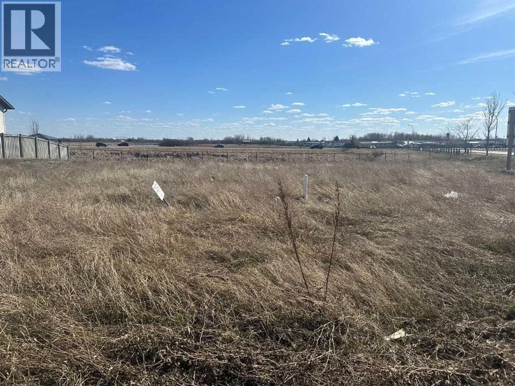 8621 102 Avenue photo 2