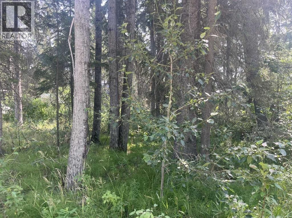 Lot 804 Brightsand Crescent photo 4
