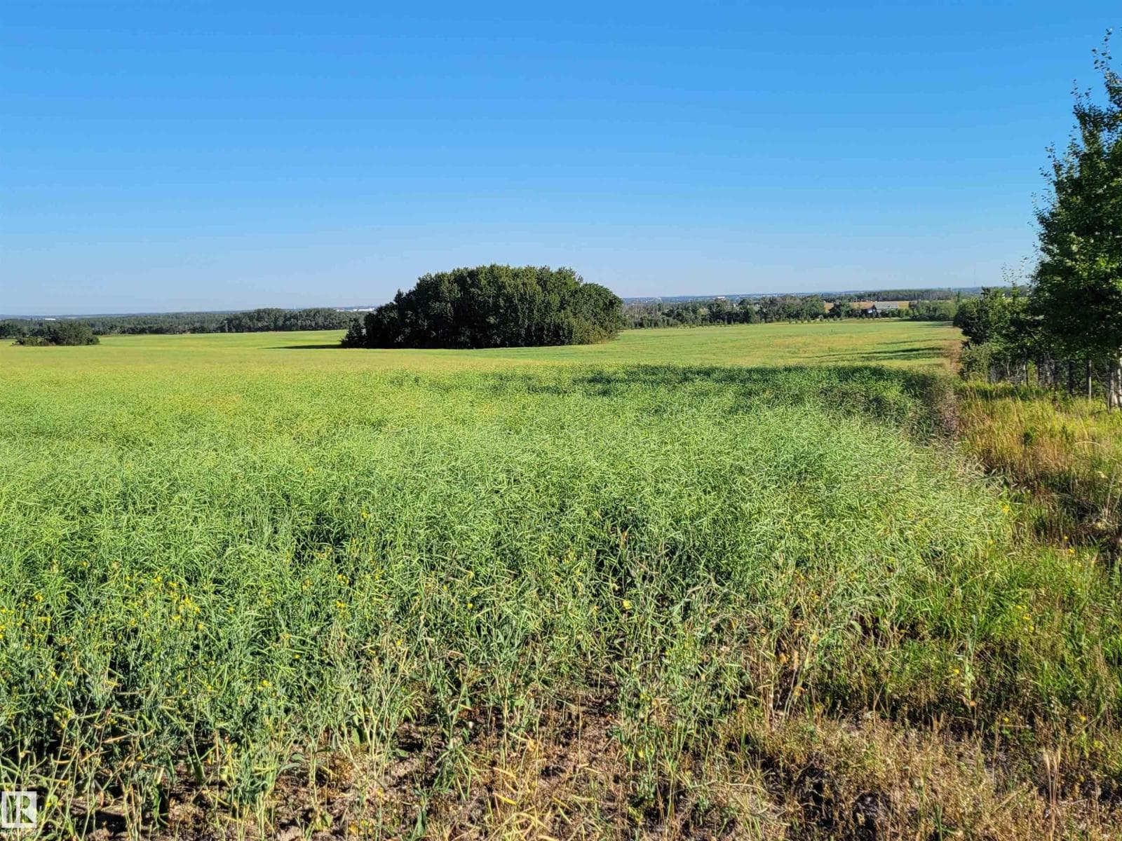 TWP 605 RR 455 photo 2