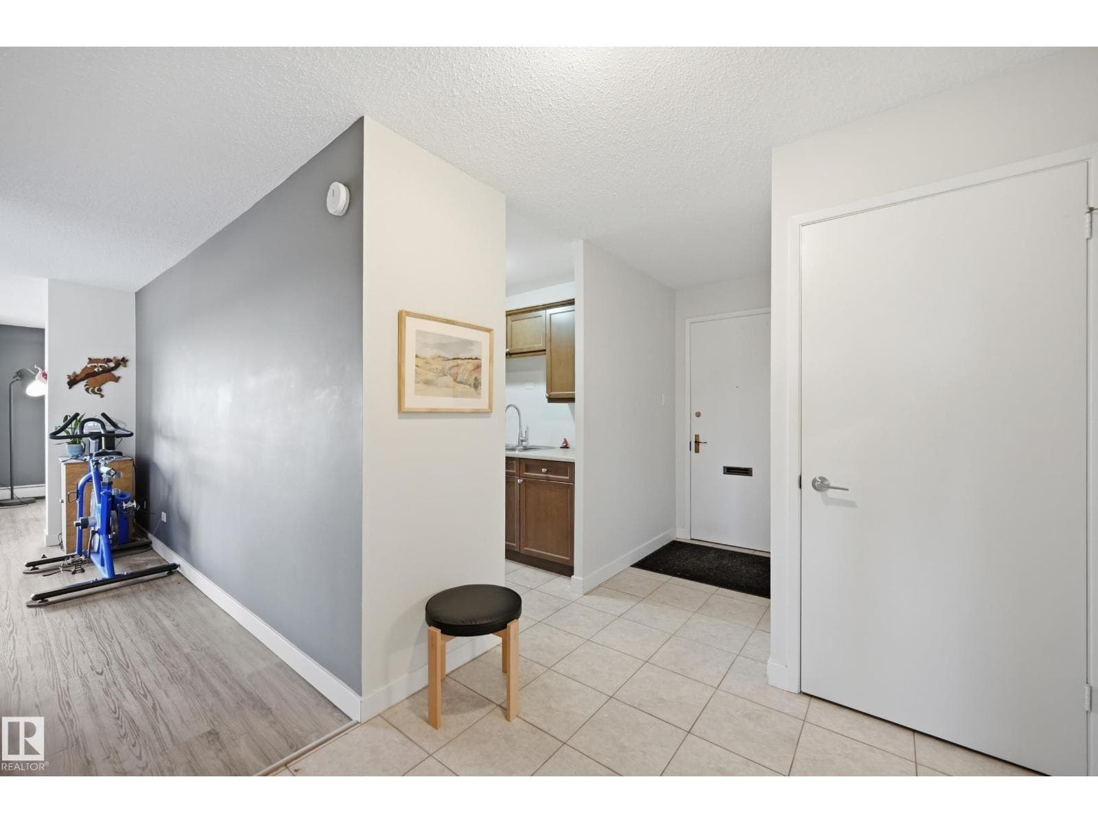 #904 9737 112 ST NW photo 8