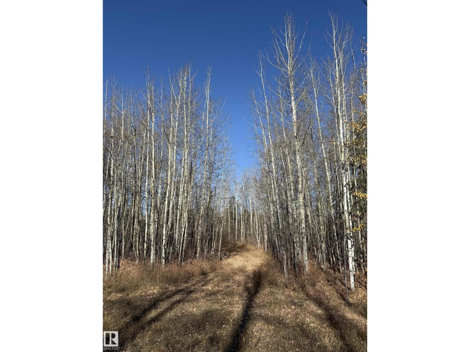#49 50322 RGE ROAD 10 — photo 3