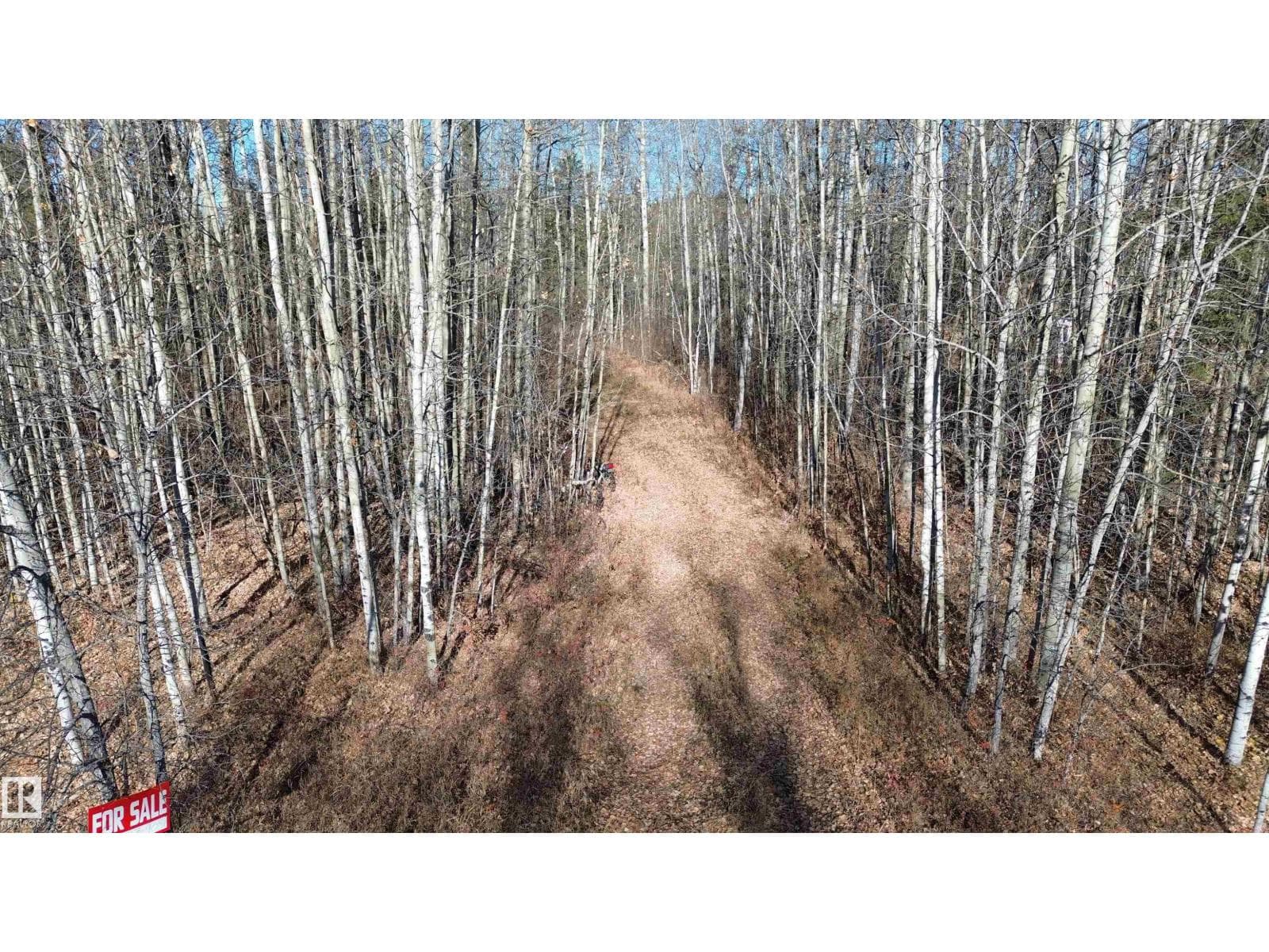 #49 50322 RGE ROAD 10 — photo 4