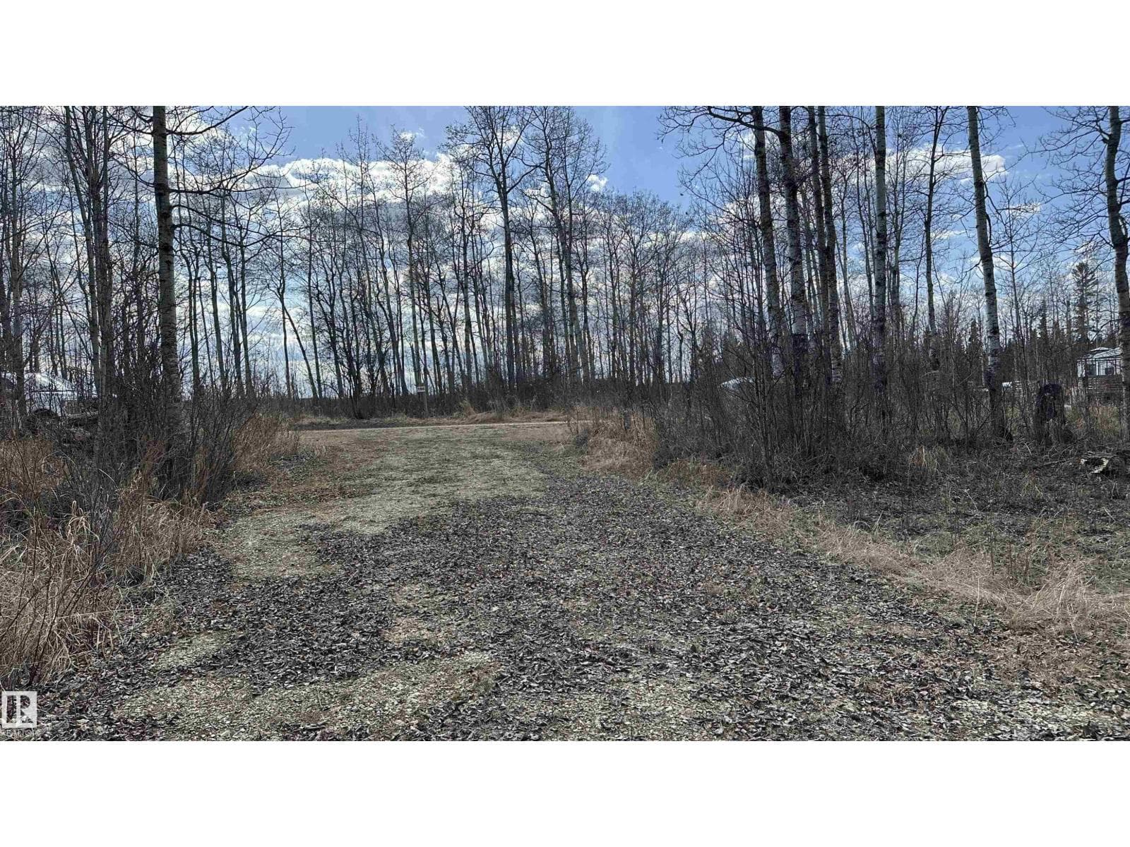 #177 5519 TWP RD 550 — photo 4
